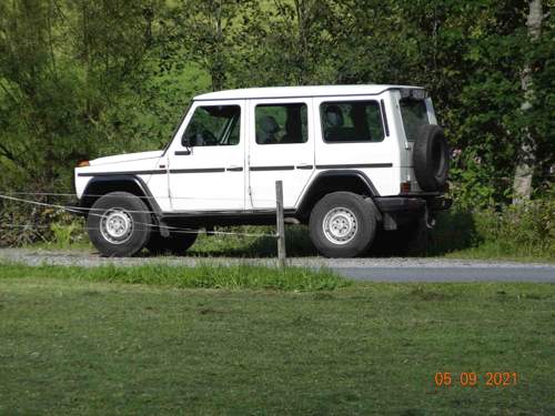 G280-in-der-aste-05201x