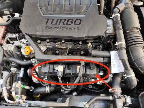Motor