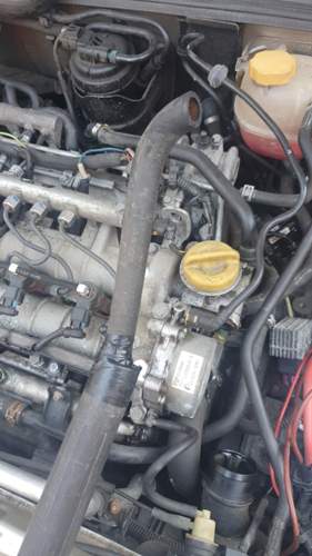 IMG-20220719-WA0109.jpeg