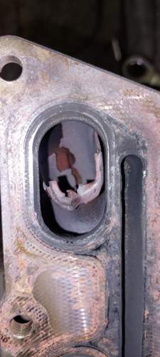 Img-20230703-wa0004
