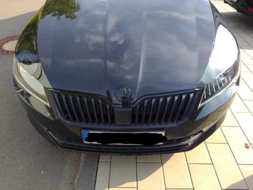 Img-20230928-154240