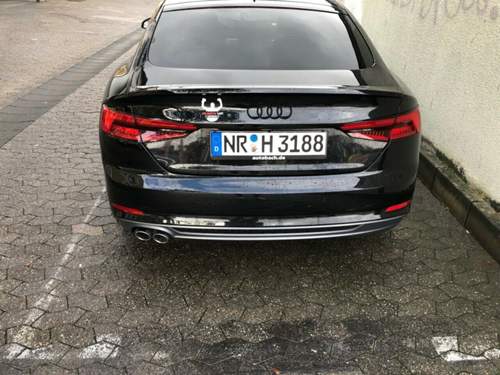 Vorher.jpg