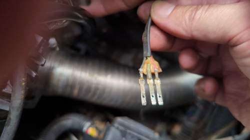Elch #1 Stecker Nockenwellensensor