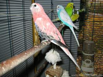 Img-1168