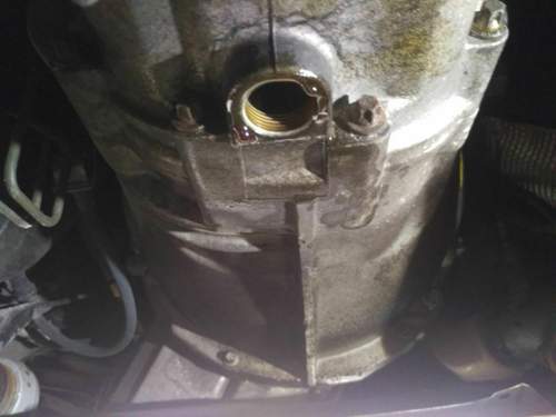 IMG-20210817-WA0003.jpeg