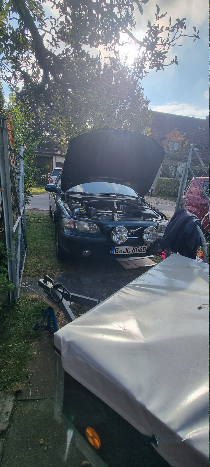 Was habt ihr heute am Elch getan?