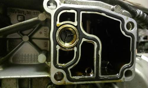 IMAG0132.jpg