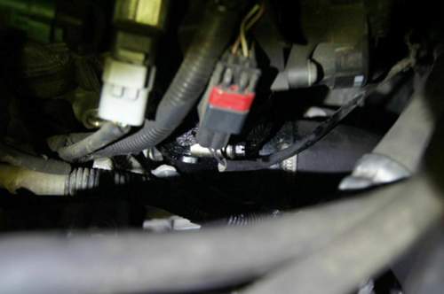 Focus-unter-stecker-2