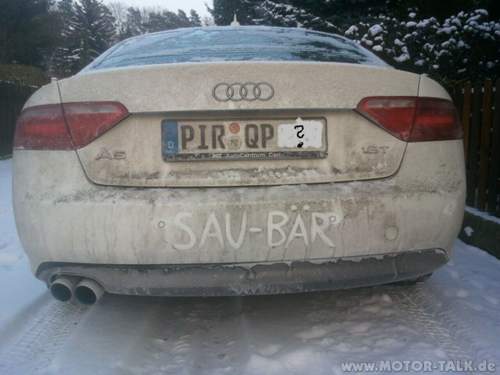 Saubaer
