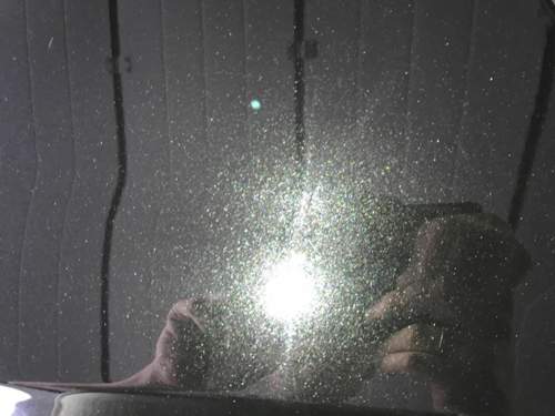 Img-8558