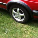 Img-0180-1