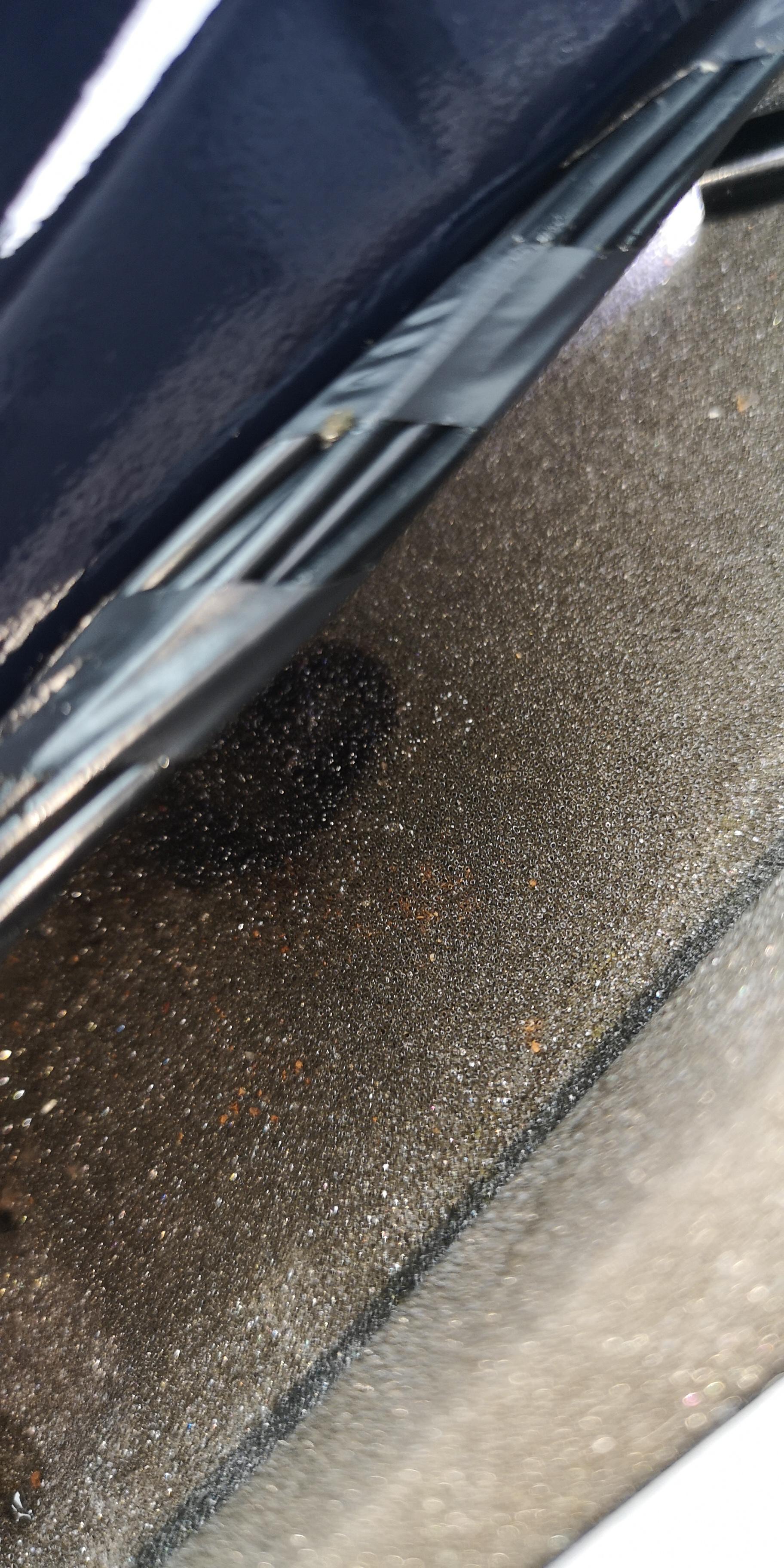 Wasser im Heck (Focus II Tunier)