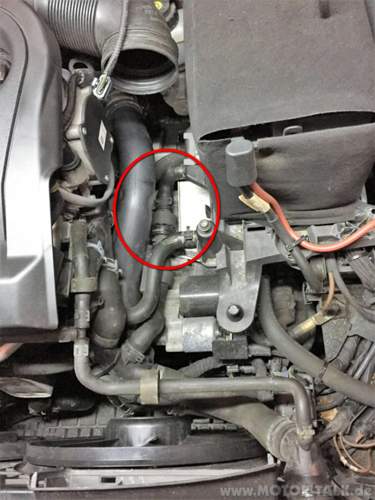 Thermostat-dsg