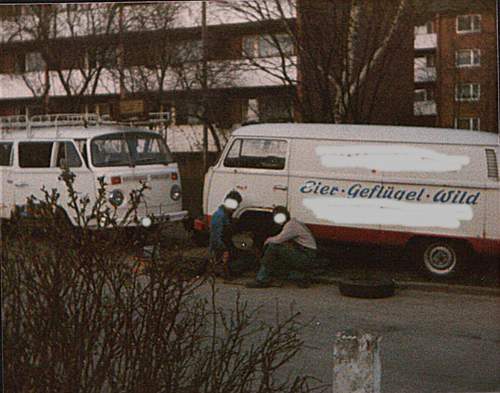 Bild-