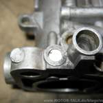 Img-0669