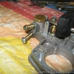 Img-0795