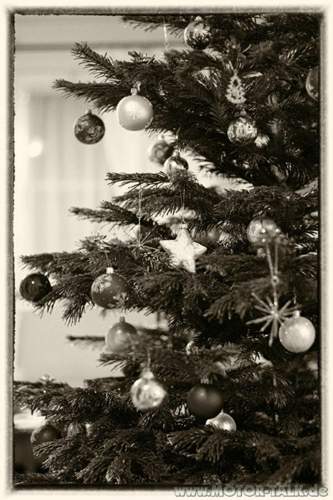 Imgp5118-xmas-2017