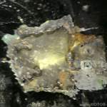 Dsc00324