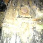 Dsc00323