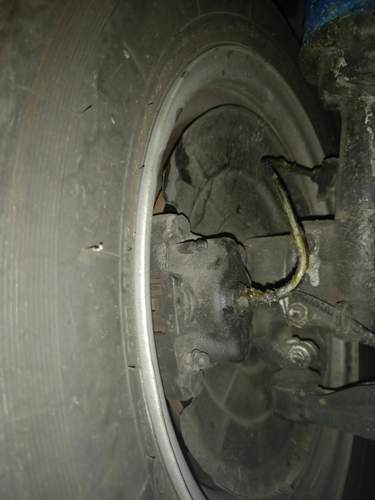 1303 Bremssattel