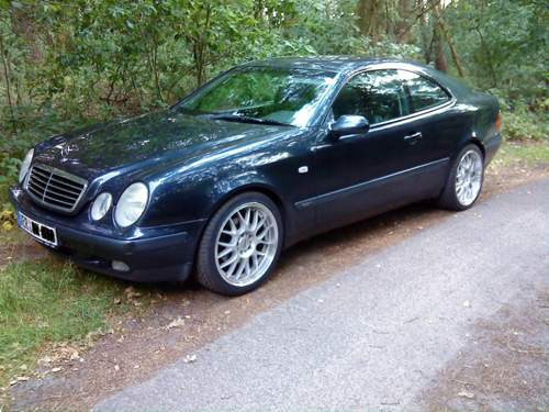 Bild-561