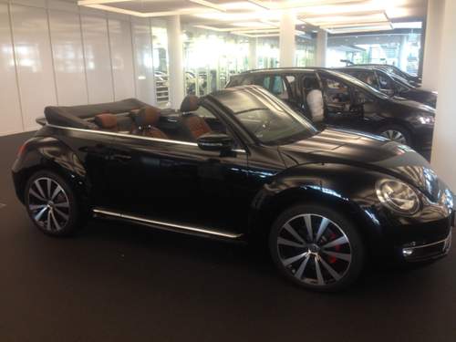 Beetle Sport