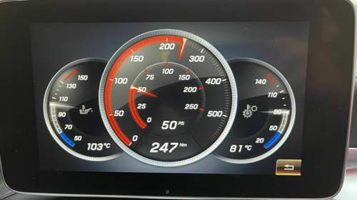 81 Grad
