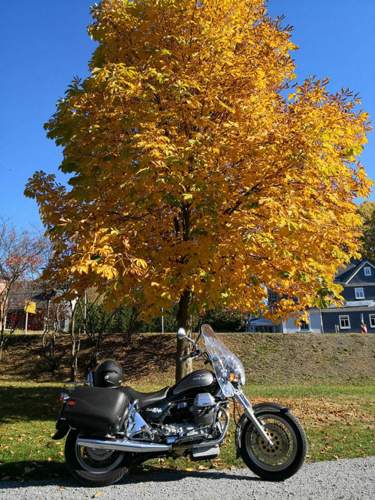 IMG_20181013_135659.jpg