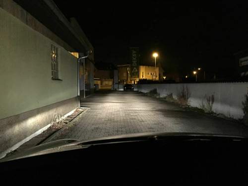 Img-6569