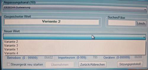 Gurtwarner vcds