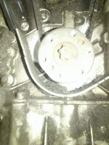 Foto140-6771614209516673433