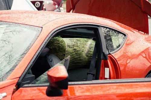 Der Toyota lässt 1,60 Meter Baum verschwinden.