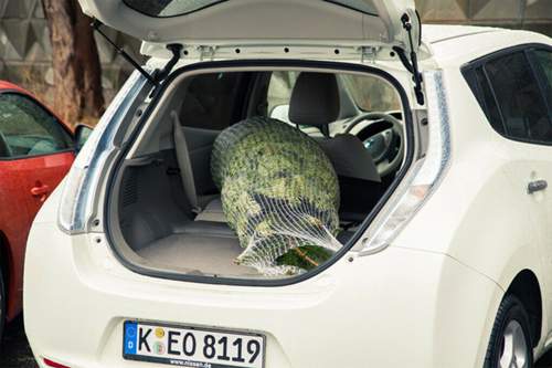 In den Leaf geht eine 1,90-Tanne.