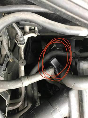 Stecker