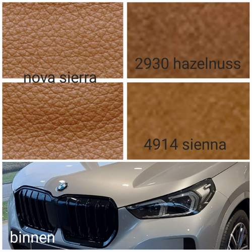 X1 Space Silber drinnen