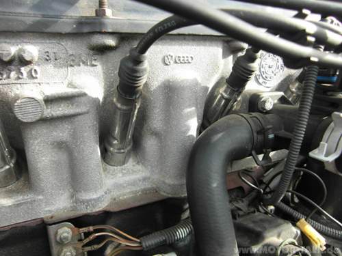 Bild-217