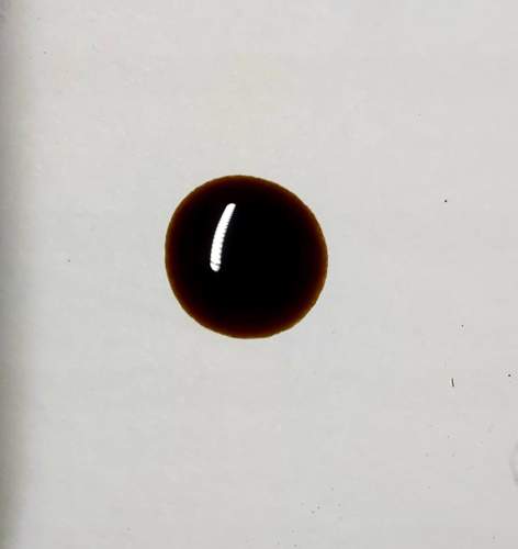 20230925_141639.jpg