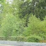 Dscn0490