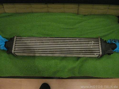 Img-0633