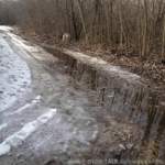 Img-0088