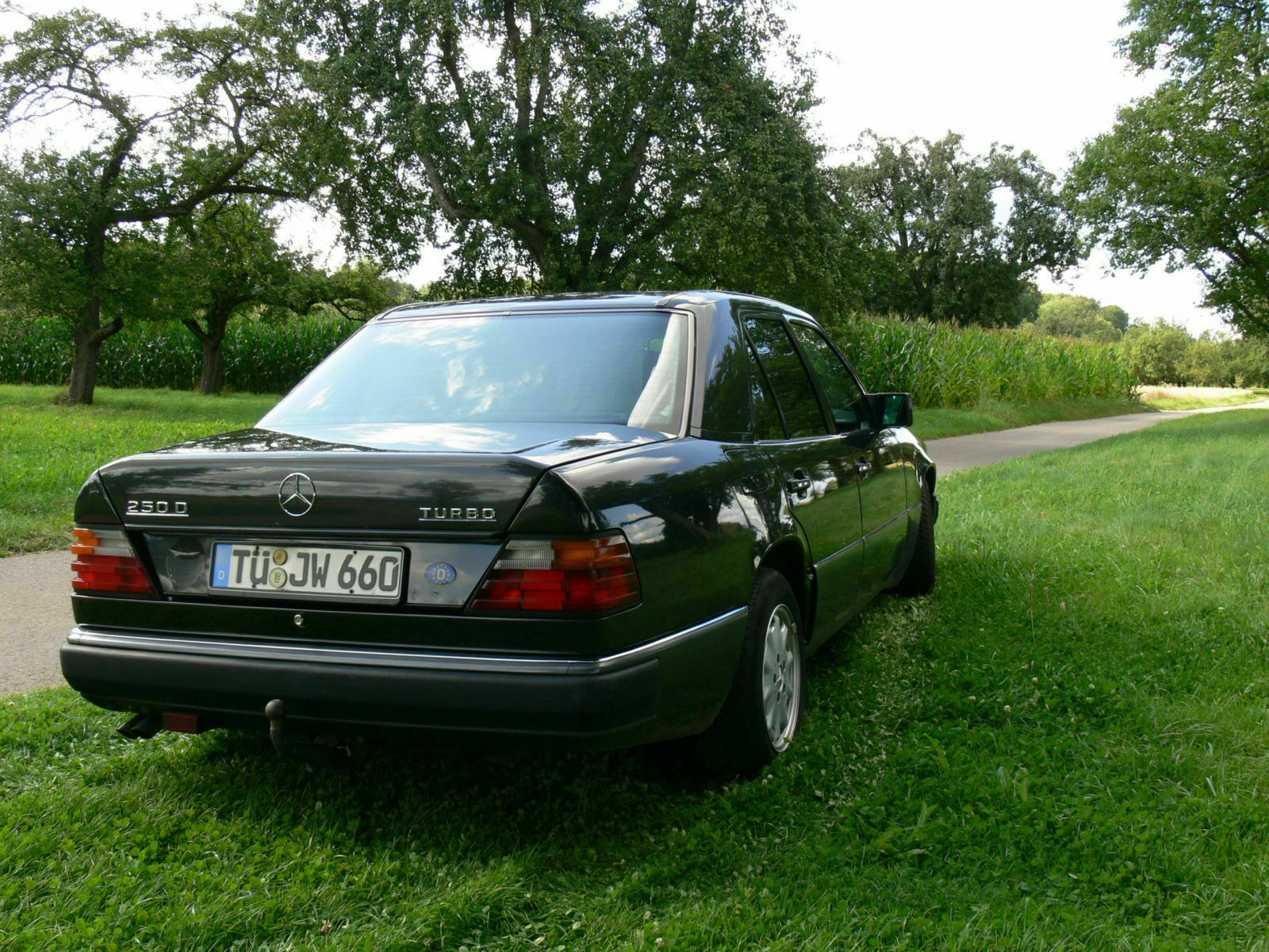 Wer fährt 250D-Turbo? bitte melden