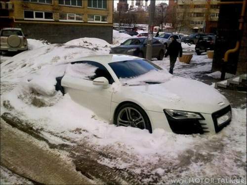 R8schnee2