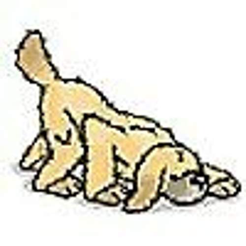 Spuerhund