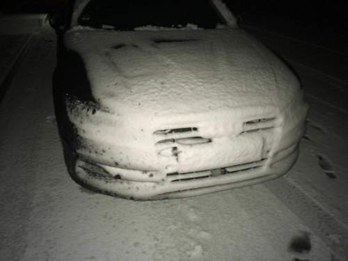 Img-2852