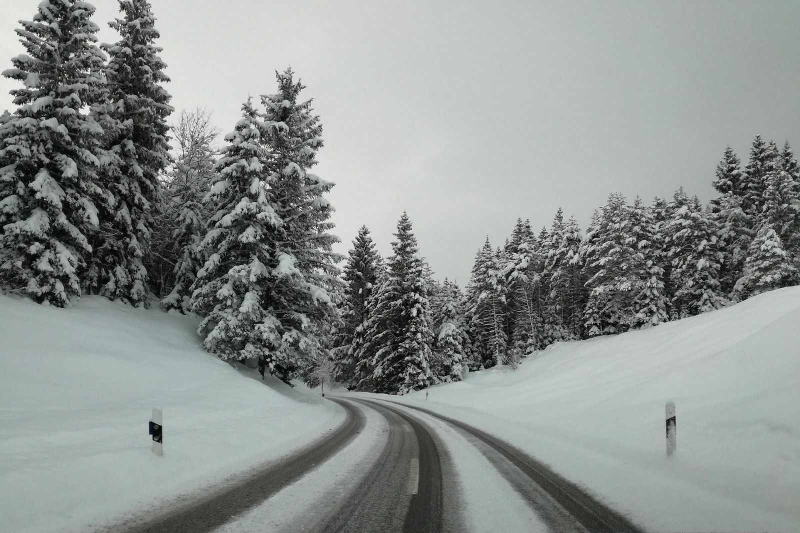 Wer hat schon Sauwetter?