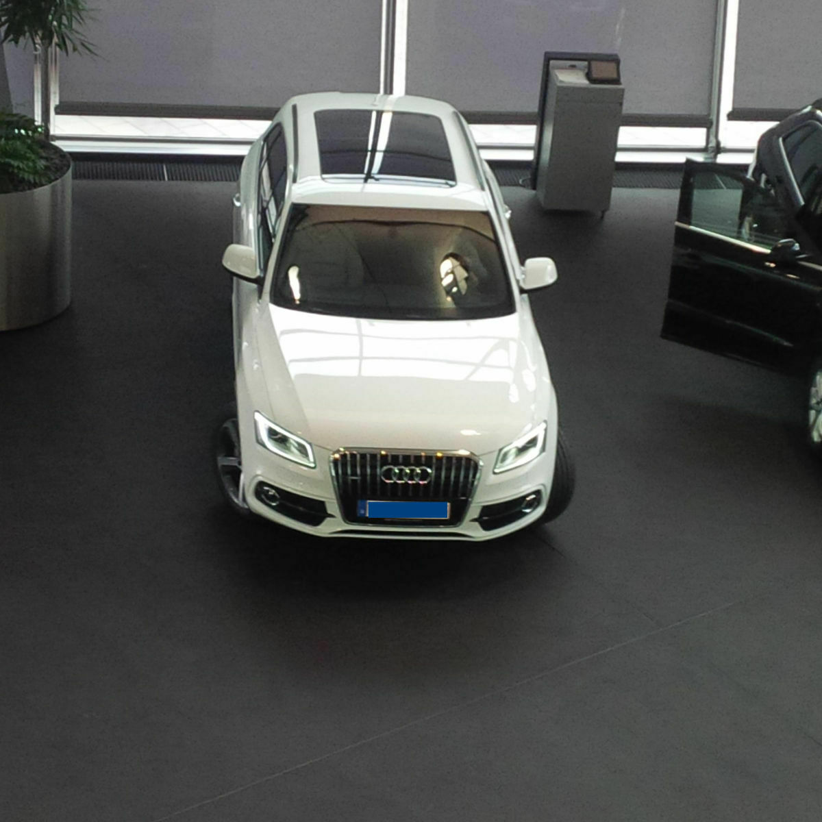 Wer wird zum MACAN wechseln?