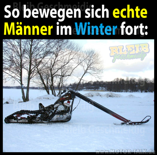 Bikers-snowmobil