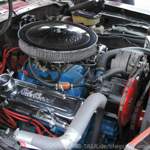 Dscn3554