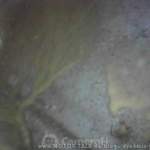 171015-144741