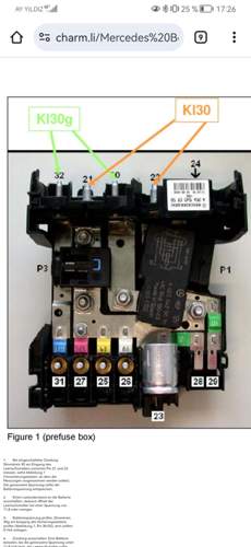 Sicherungsdose f32 Schema